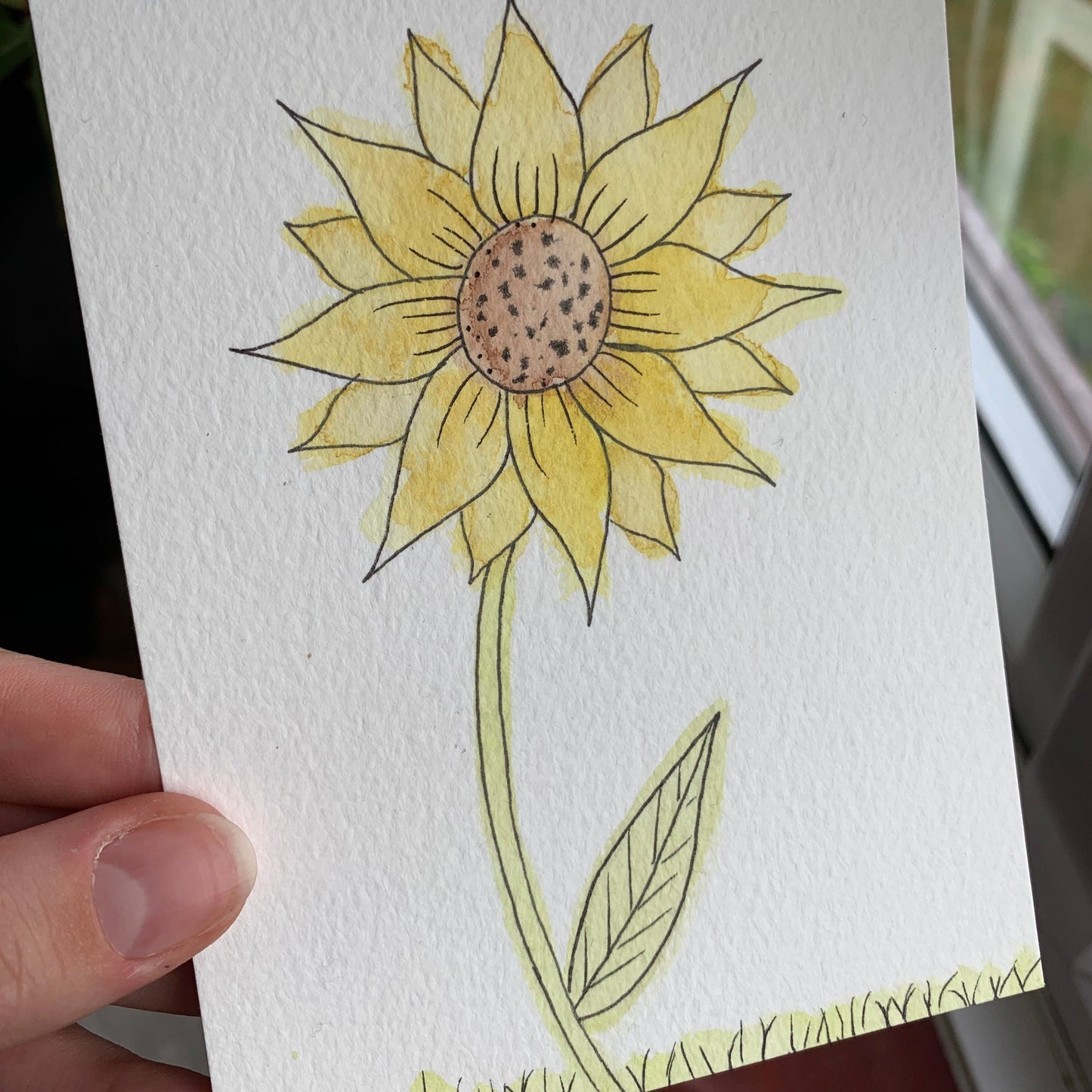 Sunflower Watercolour Postcards